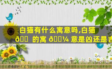 白猫有什么寓意吗,白猫 🐠 的寓 🌼 意是凶还是吉